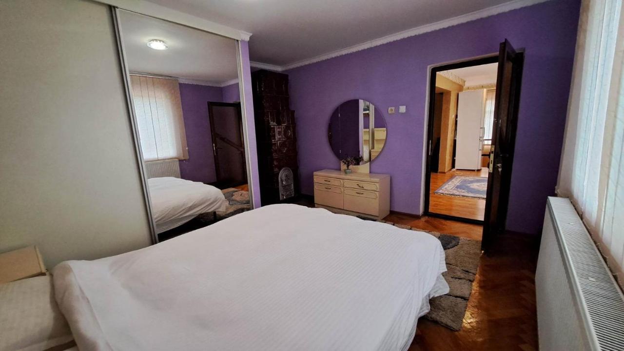 Pensiunea Burciu Salcioara  Esterno foto