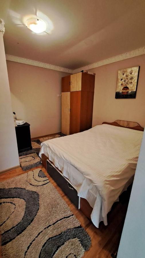 Pensiunea Burciu Salcioara  Esterno foto