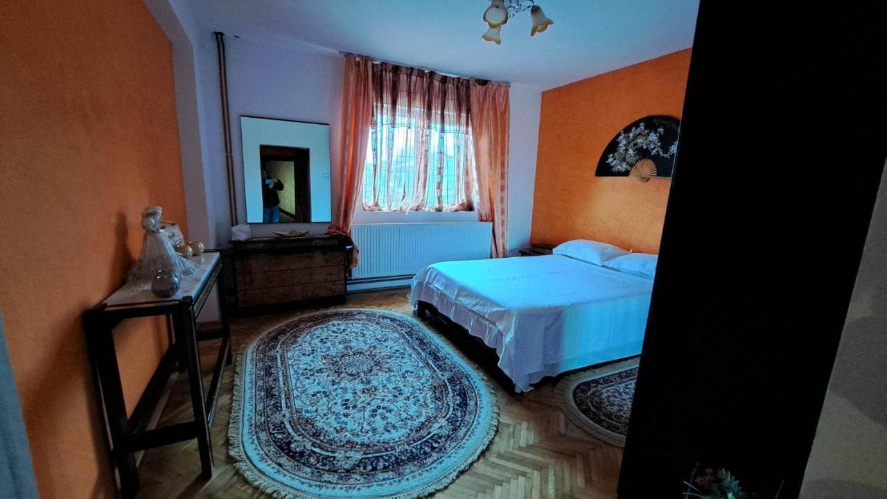 Pensiunea Burciu Salcioara  Esterno foto