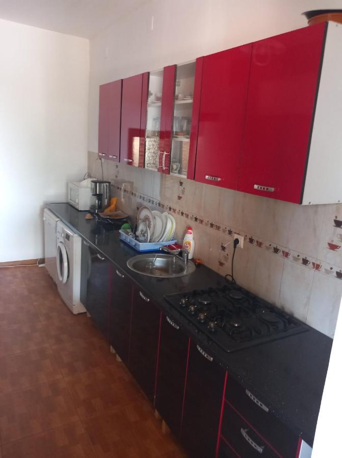 Pensiunea Burciu Salcioara  Esterno foto